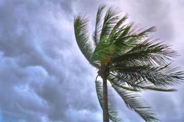 windy.com